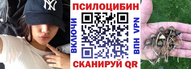 Псилоцибиновые грибы Psilocybine cubensis Сельцо