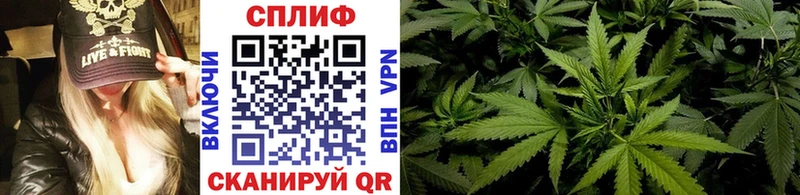 хочу наркоту  Сельцо  Шишки марихуана THC 21% 